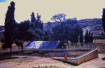 Holy Land 11