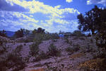 Holy Land 43