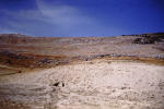 Holy Land 45