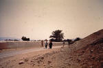 Holy Land 57