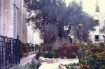 Holy Land 8